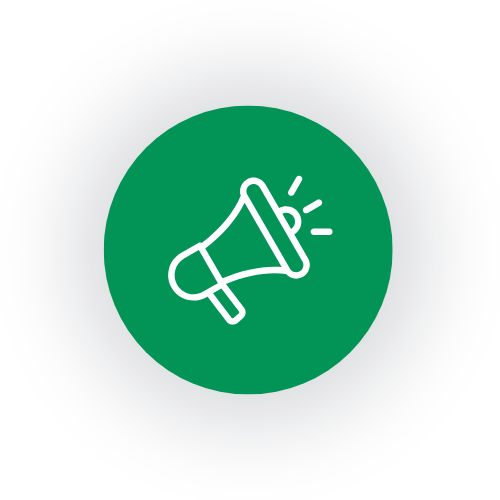 Website Design & Development