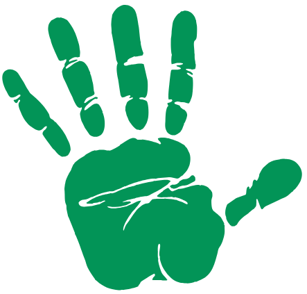 Website Design & Development